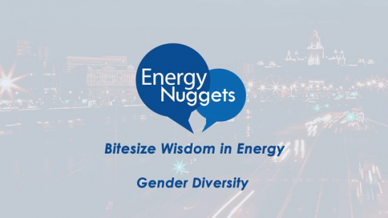 SPE Energy Nuggets: Gender Diversity
