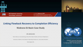 Linking Flowback Recovery to Completion Efficiency: Niobrara-DJ Basin Case Study