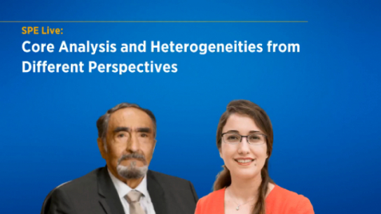 Core Analysis and Heterogeneities from Different Perspectives